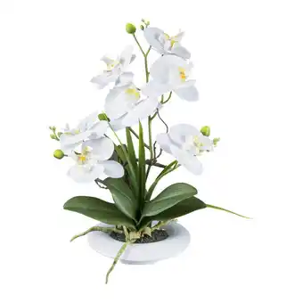 Möbelix Kunstpflanze Orchideen Weiß, Topf: Weiß, H: 41 cm Angebot