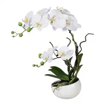 Möbelix Kunstpflanze Orchideen Weiß, Topf: Weiß, H: 42 cm Angebot