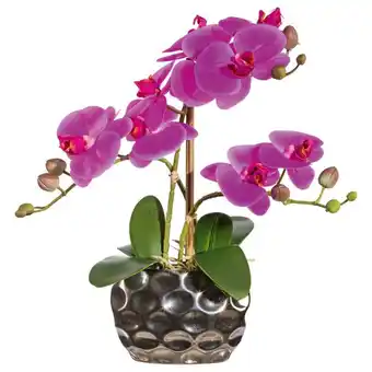 Möbelix Kunstpflanze Orchideen, Pink Topf: Silberfarben, H: 30 cm Angebot