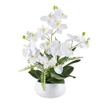 Möbelix Kunstpflanze Orchideen Grün/Weiß, 55 cm Angebot