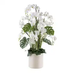 Möbelix Kunstpflanze Orchideen Creme/Grün/Weiß, 140 cm Angebot