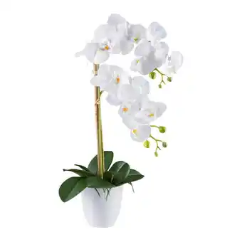 Möbelix Kunstpflanze Orchideen Grün/Weiß, 56 cm Angebot