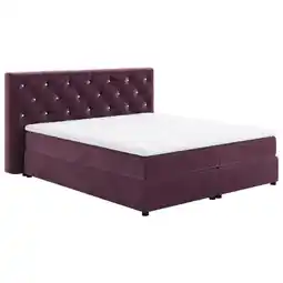 Möbelix Boxspringbett Castle Violett Lxf: ca. 180x200 cm Angebot