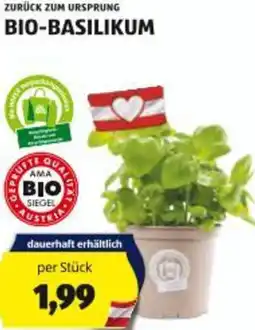 Hofer Bio-basilikum Angebot