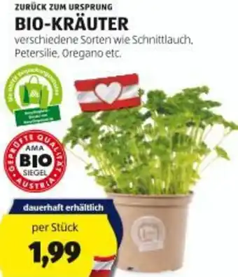 Hofer BIO-KRÄUTER Angebot