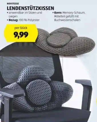 Hofer Lendenstützkissen Angebot