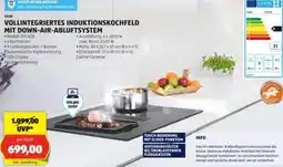 Hofer Vollintegriertes induktionskochfeld Angebot