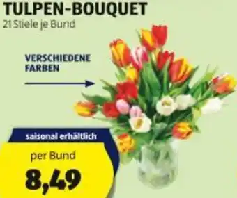 Hofer Tulpen-bouquet Angebot