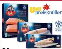 Unimarkt Iglo Atlantik Lachs Angebot