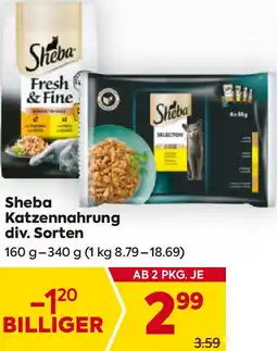 Billa Katzennahrung Angebot