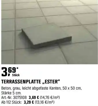 OBI Terrassenplatte ester Angebot