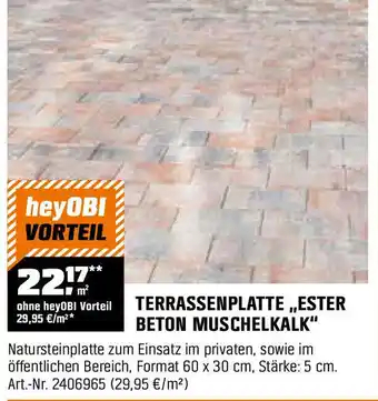 OBI Terrassenplatte ester beton muschelkalk Angebot