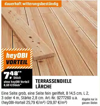 OBI Terrassendiele lärche Angebot