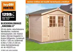 OBI Blockbohlenhaus ravenna a Angebot