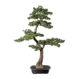 Möbelix Kunstpflanze, Bonsai Grün, H: 100 cm Angebot