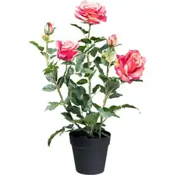 Möbelix Kunstpflanze, Rose inkl. Topf, H: 58 cm Angebot