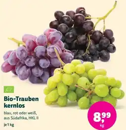 Denn's Biomarkt Bio-Trauben kernlos Angebot