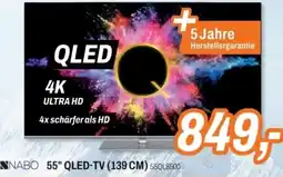 ETech 55" QLED-TV Angebot