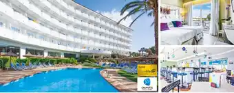 Alltours Grupotel maritimo Angebot