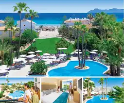 Alltours Allsun hotel eden alcúdia Angebot