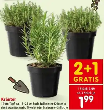 Interspar Kräuter 14 cm Angebot