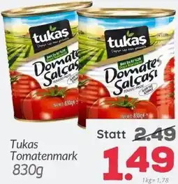 ETSAN Tomatenmark Angebot