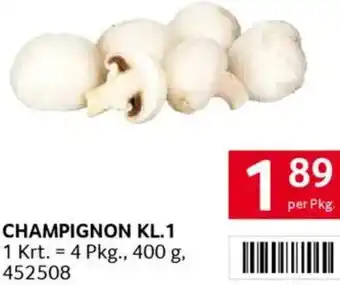 Transgourmet Champignon Angebot