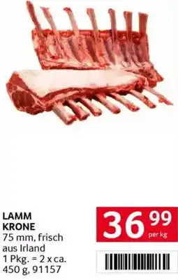 Transgourmet Lamm krone Angebot