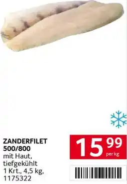 Transgourmet Zanderfilet Angebot