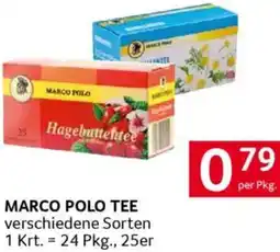 Transgourmet Marco polo tee Angebot