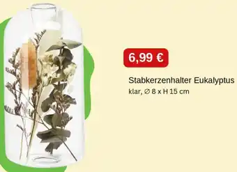 Depot Stabkerzenhalter Eukalyptus Angebot