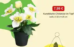 Depot Kunstblume Christrose im Topf Angebot