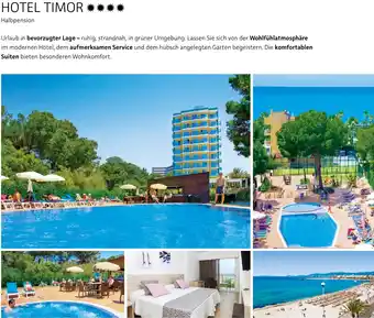 Alltours Hotel timor Angebot