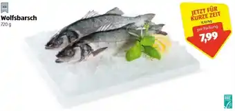 Hofer Wolfsbarsch 720 g Angebot