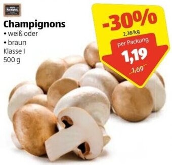 Hofer Champignons 500 g Angebot