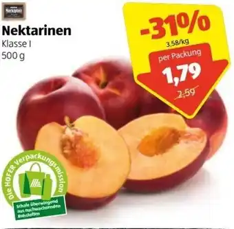 Hofer Nektarinen 500 g Angebot