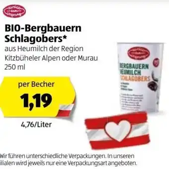 Hofer Bio Bergbauern Schlagobers 250 ml Angebot