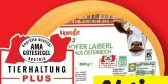 Lidl Alpengut Maishofer Laiberl Angebot