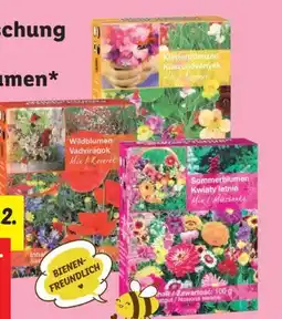 Lidl Saatgutmischung Wildblumen Angebot