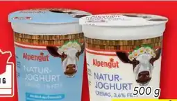 Lidl Alpengut Naturjoghurt Angebot