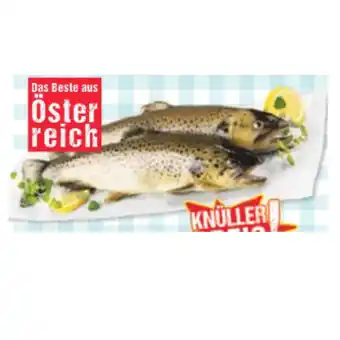 Maximarkt Österr. Bio-Bachforelle Maximarkt Angebot