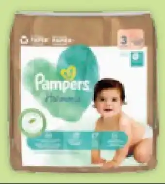 Müller Pampers Windeln Harmonie Angebot