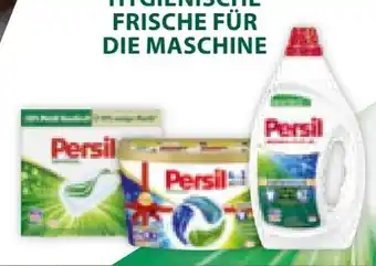 Müller Persil Waschmittel Angebot