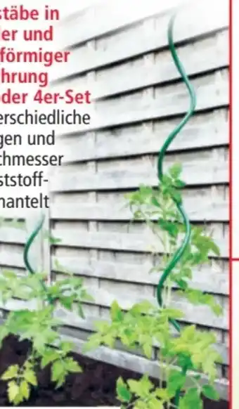 Norma Powertec Garden Rankstäbe Angebot