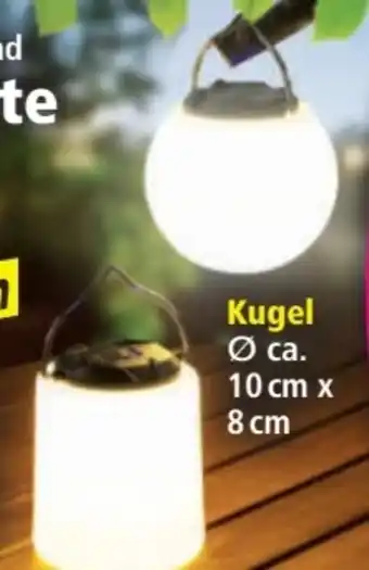 Norma I-Glow LED-Tischleuchte Angebot