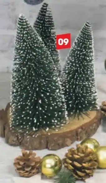 Libro Standdeko Bäume Angebot