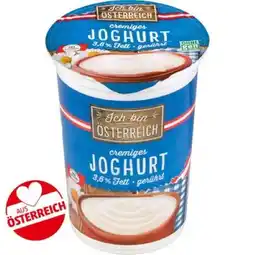 PENNY Naturjoghurt versch. Sorten Penny Angebot