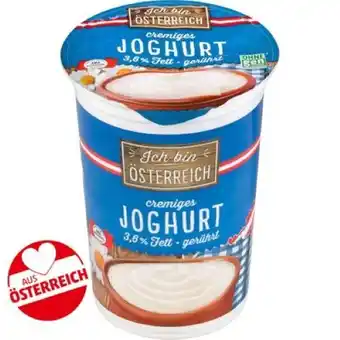 PENNY Naturjoghurt versch. Sorten Penny Angebot