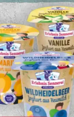 Billa Zillertaler Heumilch-Fruchtjoghurt Angebot