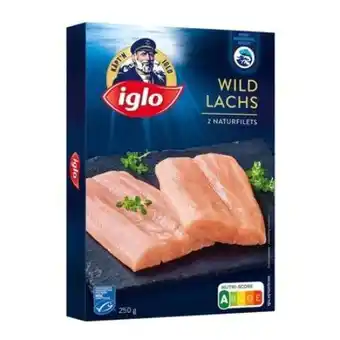 Billa Iglo Wildlachs Angebot